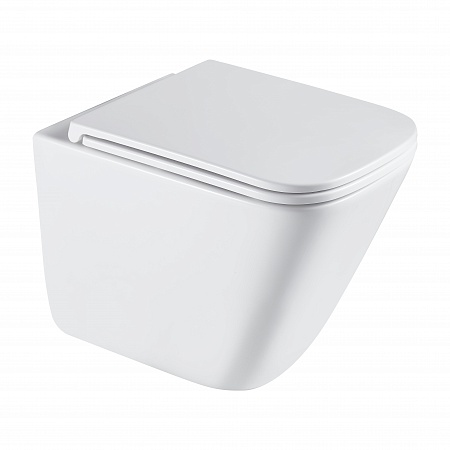 Подвесной унитаз безободковый Terminus Ватикан Monolit 490х340 белый Ульяновск - фото 2