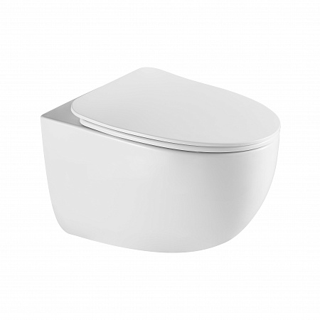 Подвесной унитаз безободковый Terminus Енисей Monolit 560х390 белый Ульяновск - фото 2