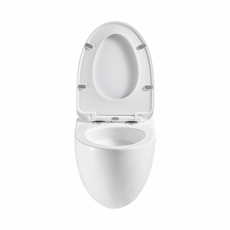 Подвесной унитаз безободковый Terminus Енисей Monolit 560х390 белый Ульяновск - фото 5