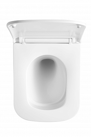 Подвесной унитаз безободковый Terminus Ватикан Monolit 490х340 белый Ульяновск - фото 3